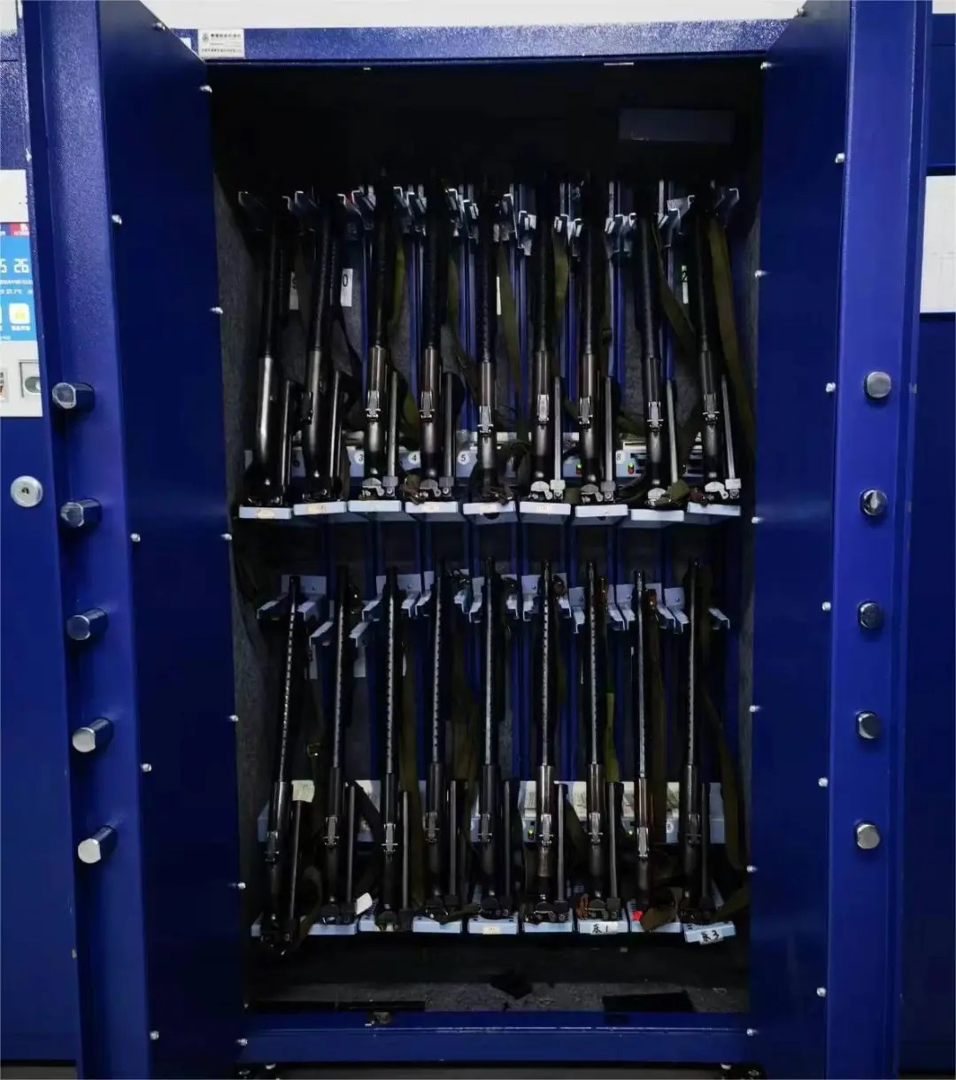 雄獅簡介(圖5) 雄獅簡介(圖5)